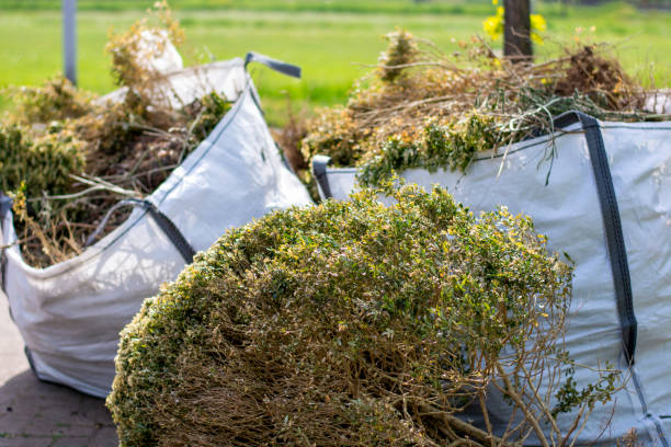 Best Basement Cleanout Services  in Crystal Springs, MS